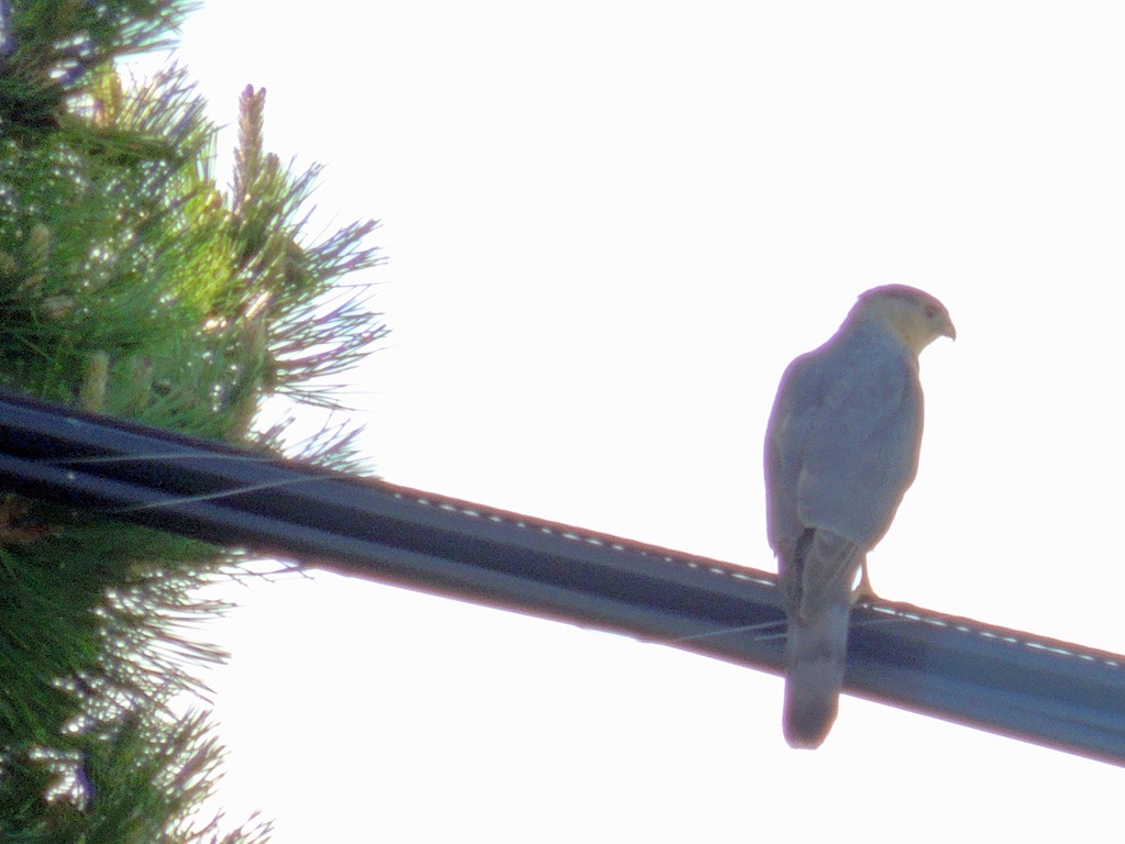 [DSCN1582%255B7%255D.jpg]