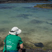 1239 Day 6 Marcia Barton & Sting Ray.jpg