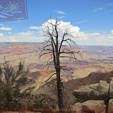 O magnífico, Grand Canyon - AZ