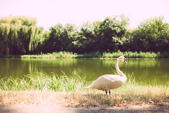 3.8.2013 2013-08-03-3.jpg