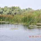 DSCN8181.JPG