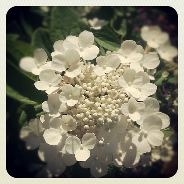 [IMG_20120617_0806255.jpg]