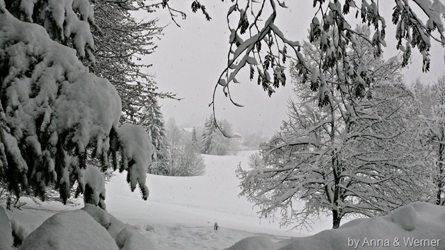 [2012_01_08%2520RundUmDenPeternhof6%255B3%255D.jpg]