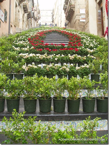 P5019352-Caltagirone