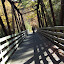 DSCF9403.JPG