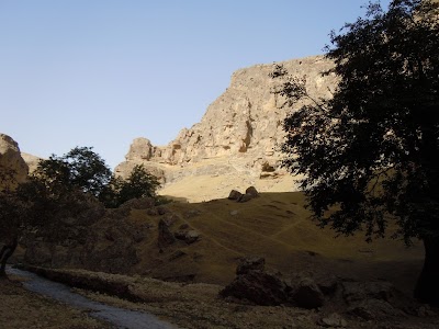 DSCN4053.jpg