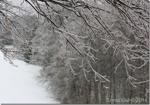 Ice storm2 2014