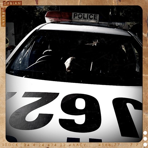 [8.%2520%2527driving%2527%2520a%2520police%2520car%255B3%255D.jpg]