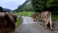 CIMG3476.JPG Photo