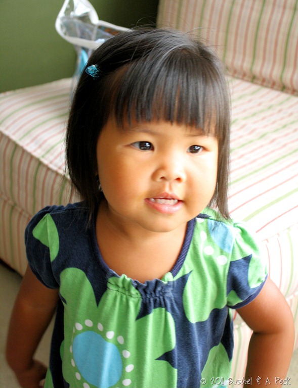 [IMG_5481-rev%255B12%255D.jpg]