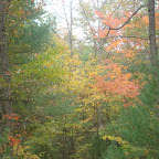 DSC06558.JPG