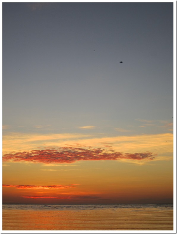 IMG_1648 IMG_1648