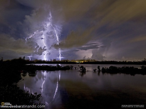 wallpapers national geographic desbaratinando (35) wallpapers national geographic desbaratinando (35)