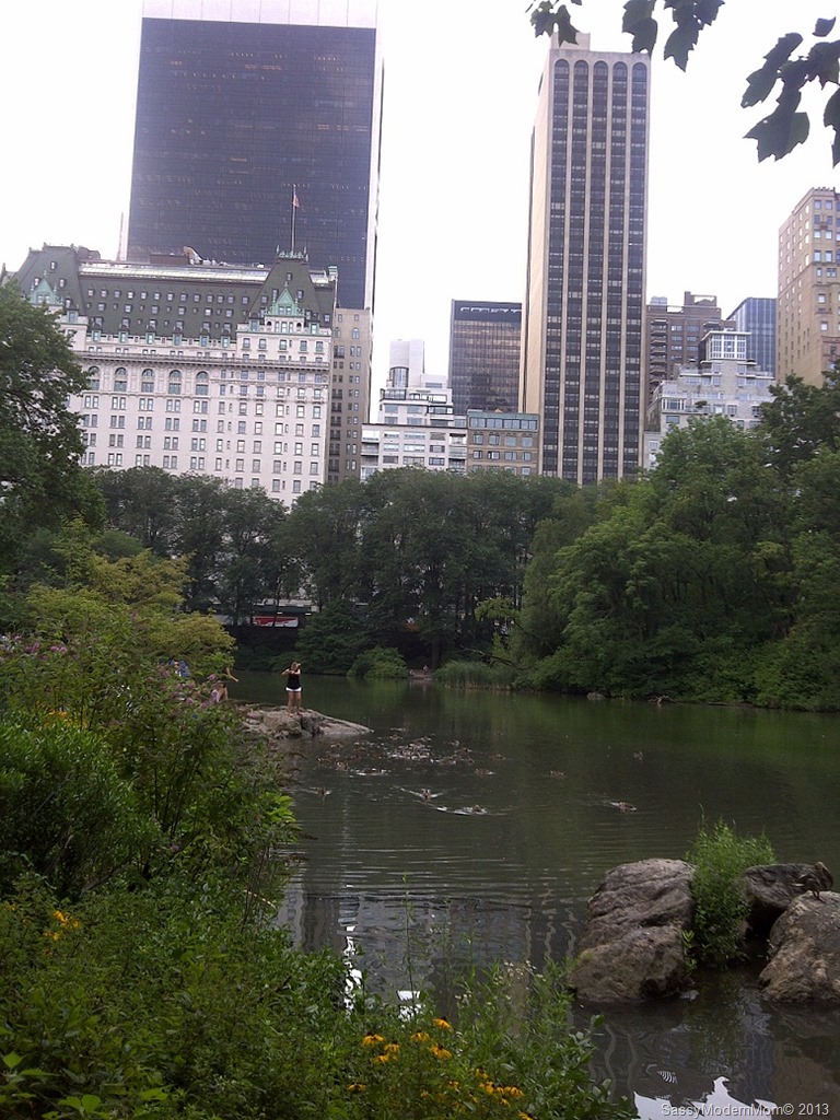 [NYViewofCentralPark%255B7%255D.jpg]