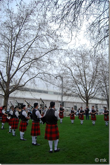 DSC_0965 DSC_0965