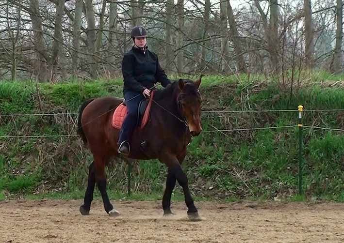 [20140331165824-%25282%2529%255B2%255D.jpg]