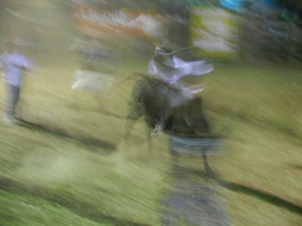 DSCN9977.jpg DSCN9977