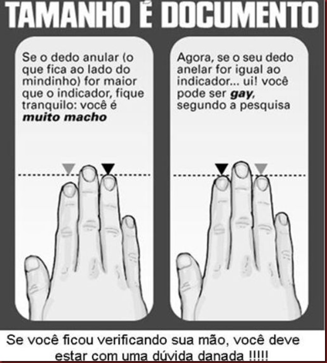 rir 19 rir 19