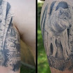 Wolf