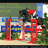 WM Zangersheide 2008