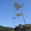 IMG_2040.jpg