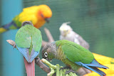 IMG_8298.jpg