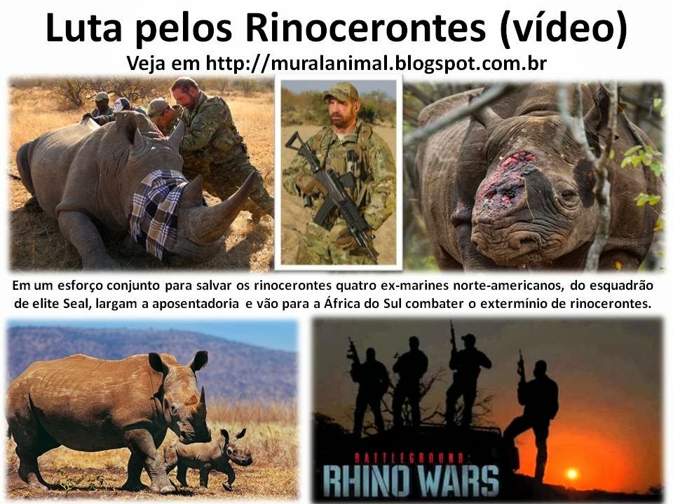 [Luta%2520pelos%2520Rinocerontes%2520%2528v%25C3%25ADdeo%2529%255B3%255D.jpg]
