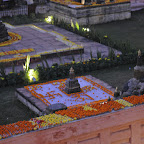DSC_7691.jpg