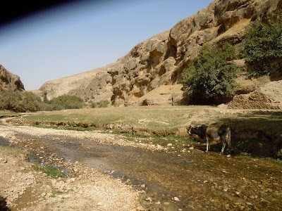 DSCN3841.jpg