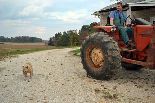 [Kodi%2520following%2520the%2520tractor%255B3%255D.jpg]