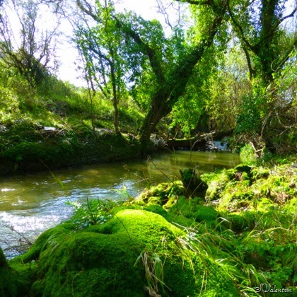 [P1070992%255B7%255D.jpg]