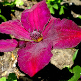 DSCF7104.jpg