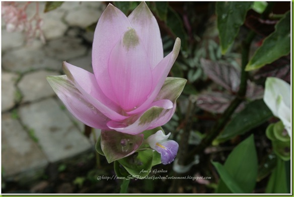 2011-07-22_00071
