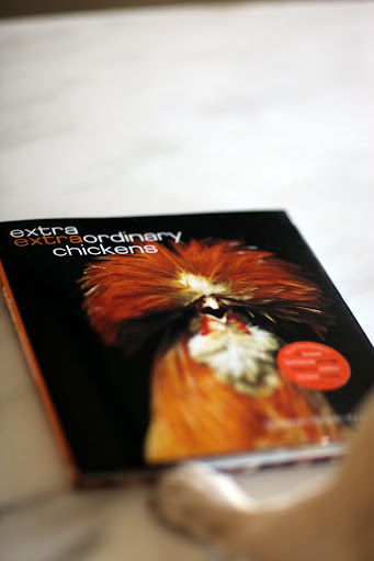 What's this?  A new book called Extra Extraordinary Chickens by Stephen Green-Armytage.  It's about the amazingly bizarre and beautiful world of show chickens.