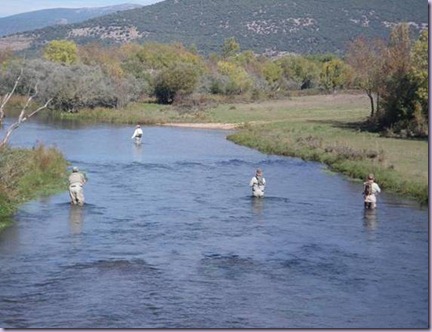 clip_image004 clip_image004