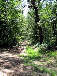 [img_3301%255B4%255D.jpg]