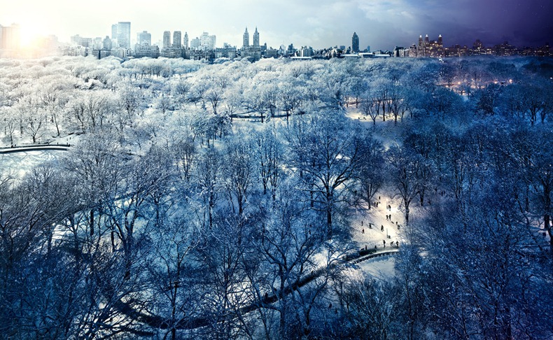 wilkes_centralpark wilkes_centralpark