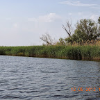 DSCN0260.JPG