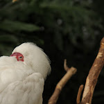IMG_1978.JPG