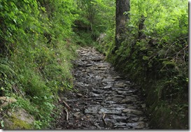 IMG_6261 IMG_6261