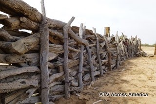 [mesquite%2520corrall%255B4%255D.jpg]