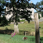 photoIMG_3529.jpg