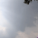 IMG_0736-MOTION.gif