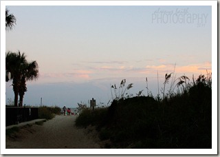 IMG_0491eweb