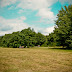 Sommerliga 2011 - [4] Disc-Golf