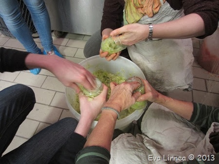 IMG_8323 IMG_8323