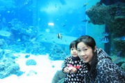 IMG_6561 IMG_6561