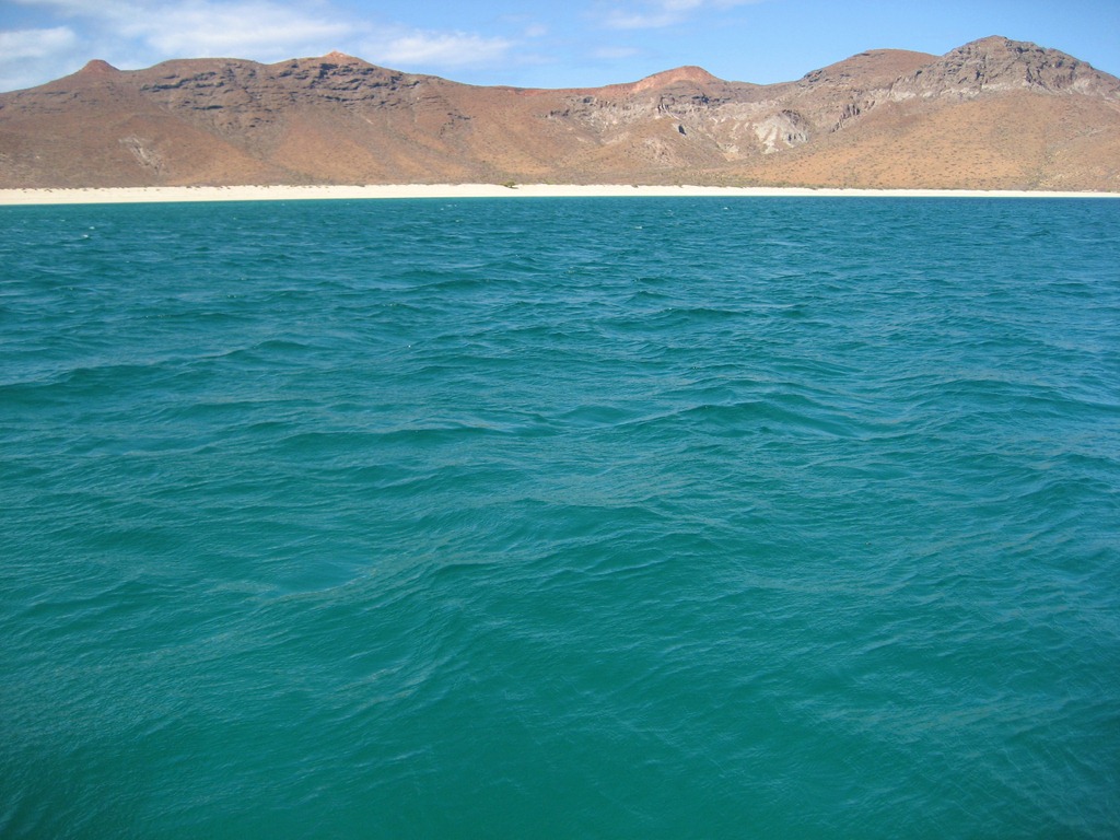 [IMG_71934.jpg]