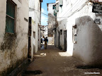 Lamu