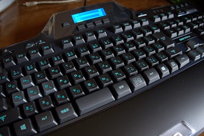 P1020121.jpg